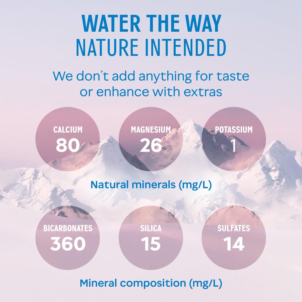 Evian Natural Mineral Water 1L