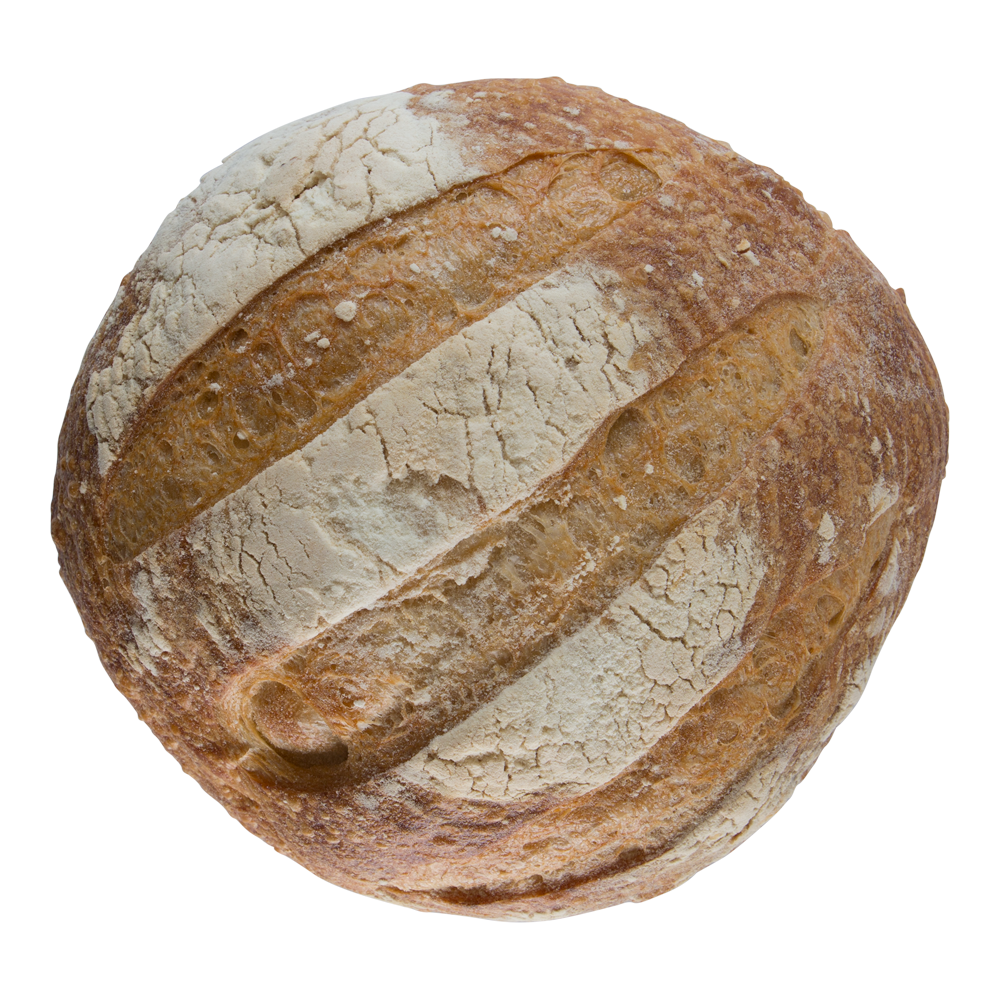 Plain Sourdough