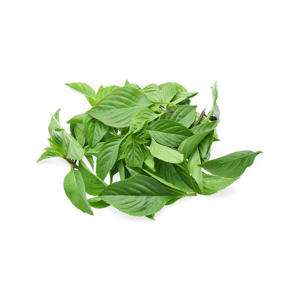 Thai Basil Hydroponic 50G