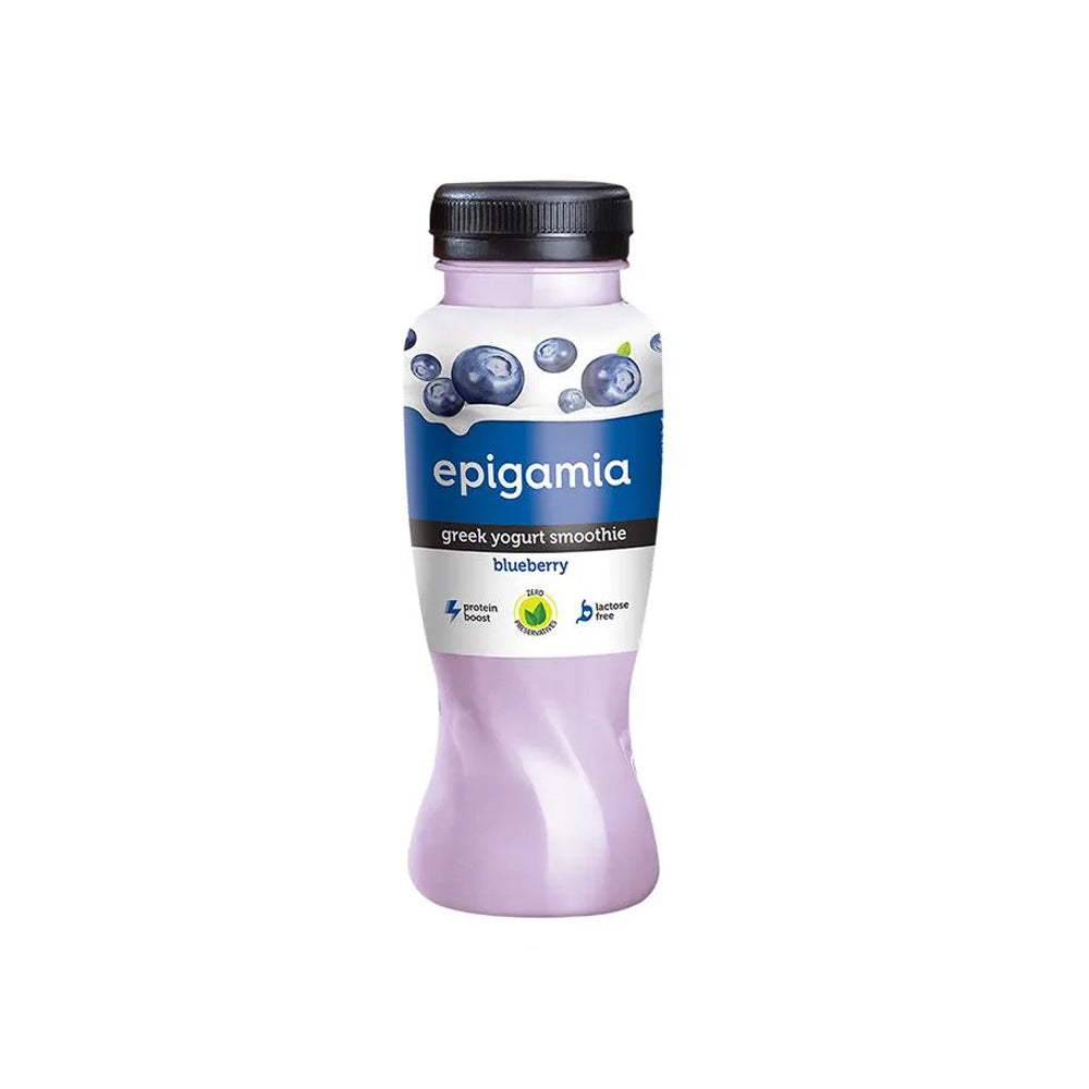 Epigamia Blueberry Smoothie 200ml