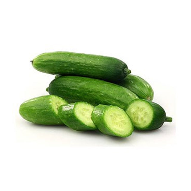 SNACK CUCUMBER HYDROPONIC GG 250G - Chennai Grocers