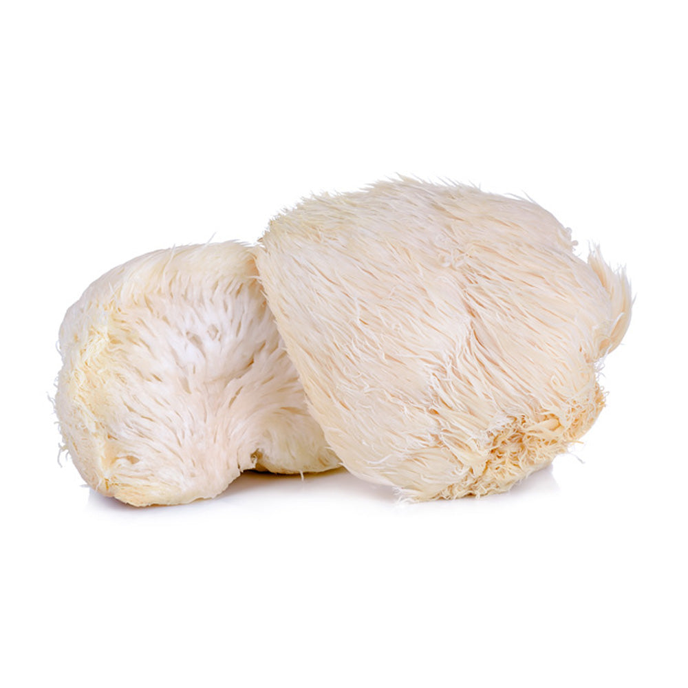 Fresh Lion Mane Mushroom 100g