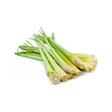 LEMON GRASS (1 STALK) - Chennai Grocers