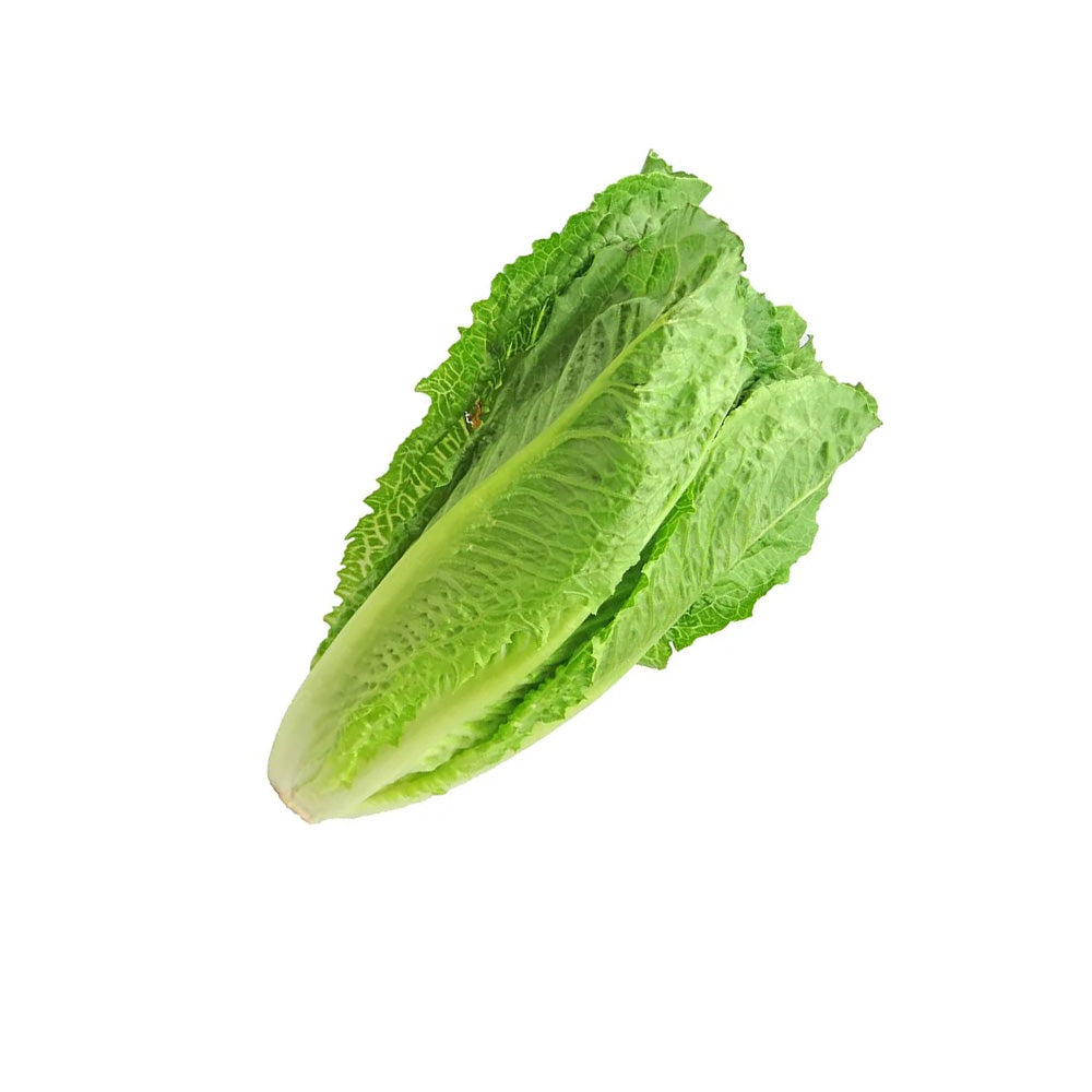 Romaine Lettuce 150g