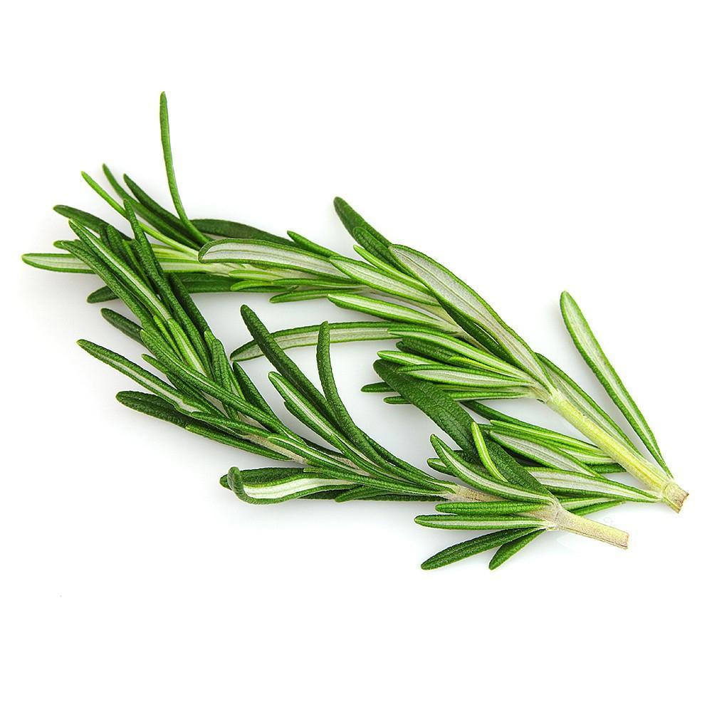 ROSEMARY (HYDROPONIC) 25G - Chennai Grocers