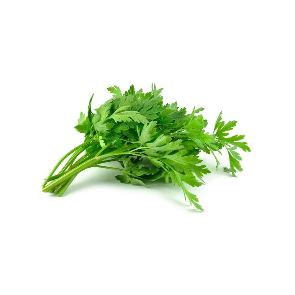 Parsley Flat Leaf Hydroponic 50G