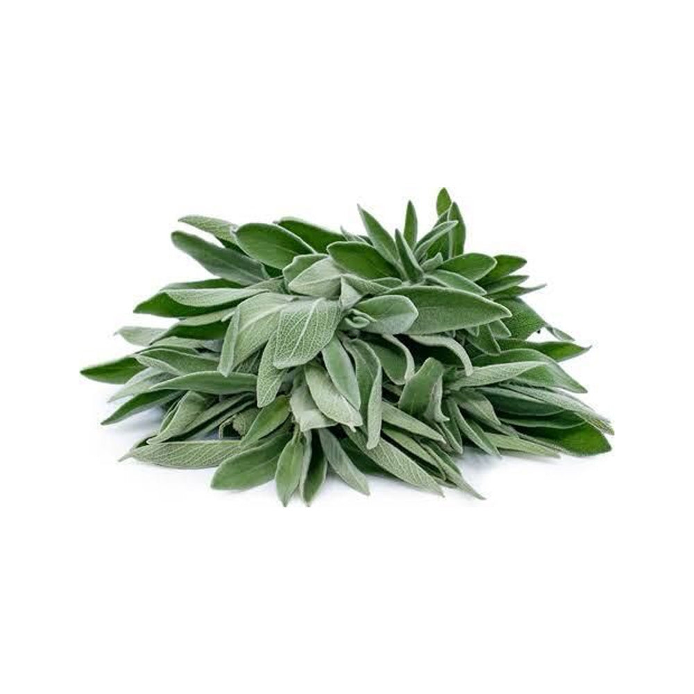 Fresh Sage 25g