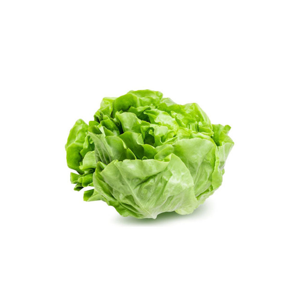 Butterhead Lettuce 150g