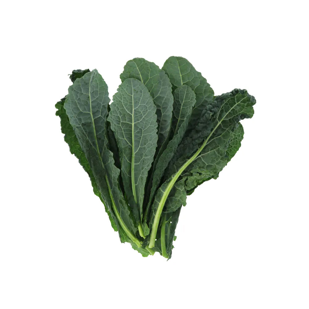 Kale Flat Hydroponic 150G