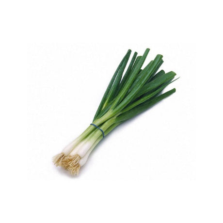 LEEKS (1 STALK) - Chennai Grocers