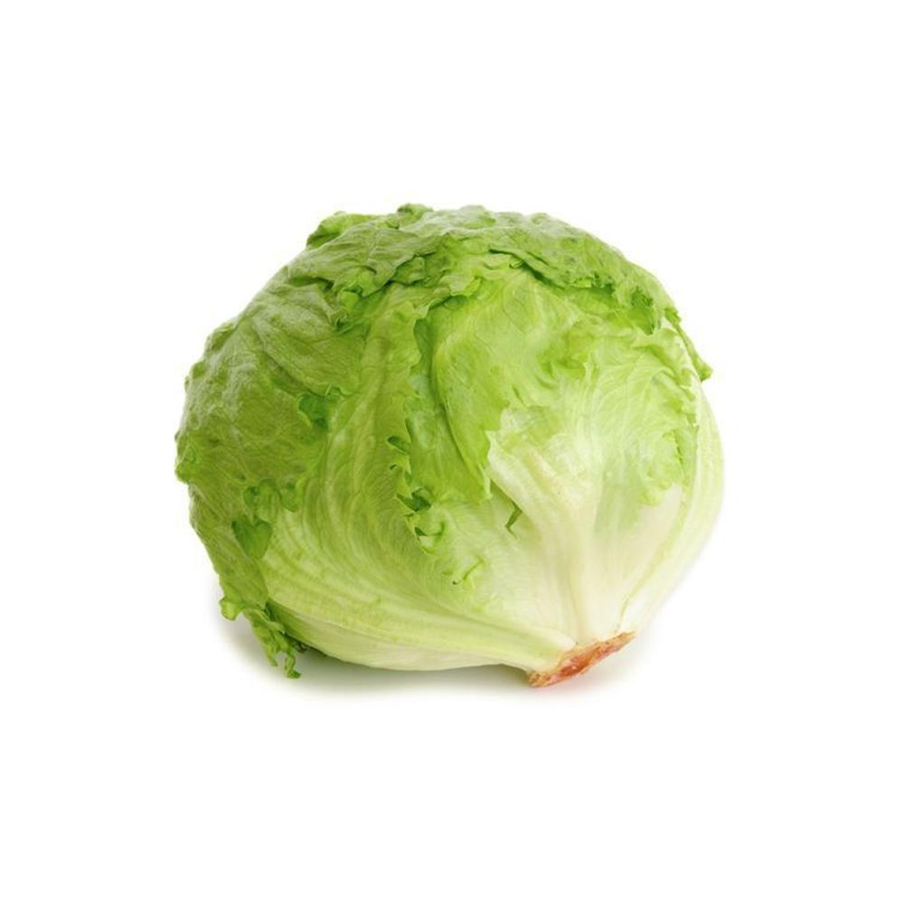 LETTUCE ICEBERG (1pcs) - Chennai Grocers