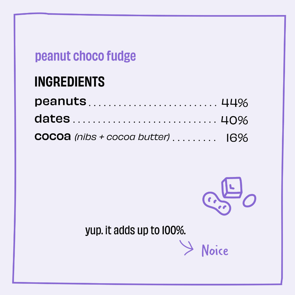 The Whole Truth Peanut Cocoa Fudge Energy Bar 40G